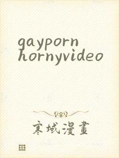 gaypornhornyvideo