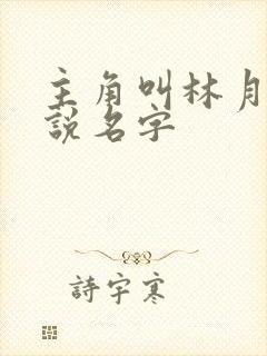 主角叫林月的小说名字封面