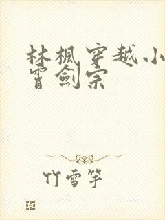 林枫穿越小说神霄剑宗封面