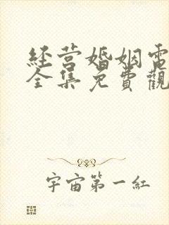 经营婚姻电视剧全集免费观看高清