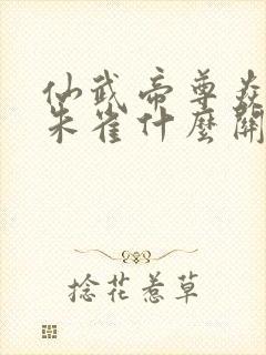 仙武帝尊焱妃和朱雀什么关系封面