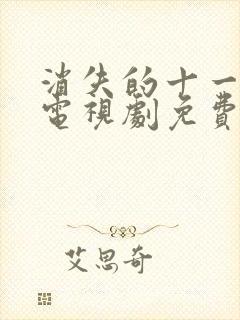 消失的十一层 电视剧免费封面