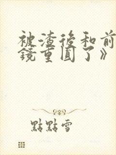 被渣后和前夫破镜重圆了》作者:画七