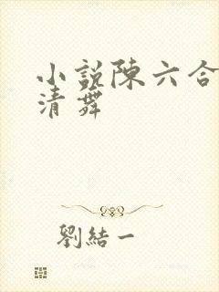 小说陈六合和沈清舞