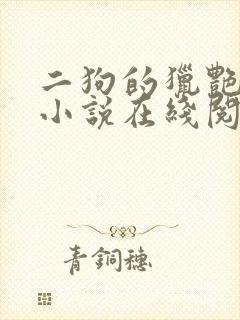 二狗的猎艳人生小说在线阅读