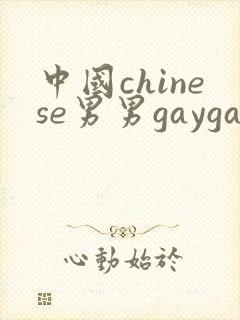 中国chinese男男gaygay网页