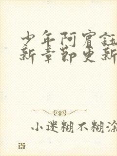 少年阿宾钰慧最新章节更新封面