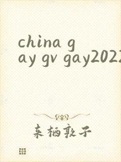 china gay gv gay2022
