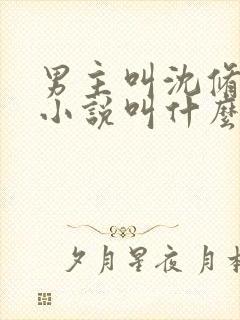 男主叫沈修瑾的小说叫什么名字