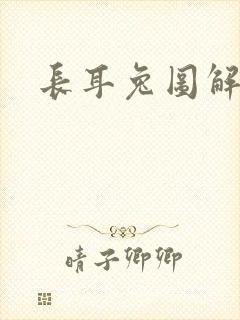 长耳兔图解封面