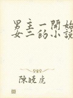 男主一开始喜欢女二的小说