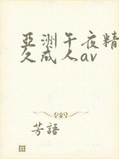 亚洲午夜精品久久成人av