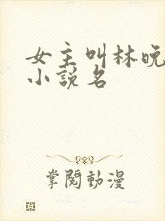 女主叫林晚星的小说名封面