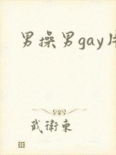 男操男gay片