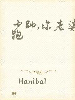 少帅,你老婆又跑