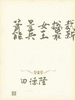 萧晨女总裁的全能兵王最新更新完封面