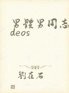 男体男同志videos