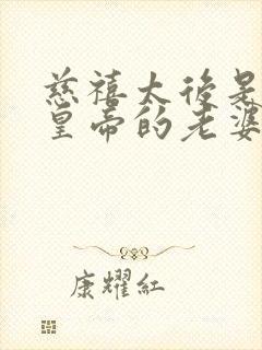 慈禧太后是哪个皇帝的老婆