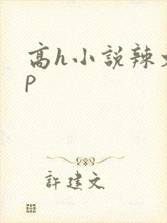 高h小说辣文np