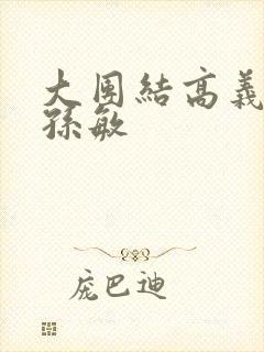 大团结高义美红孙敏