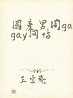 国产男同gaygay网站封面