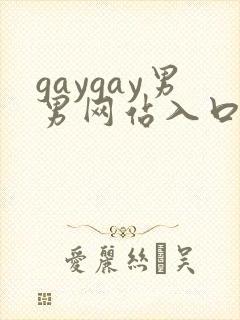 gaygay男男网站入口