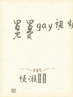 男男gay视频免费