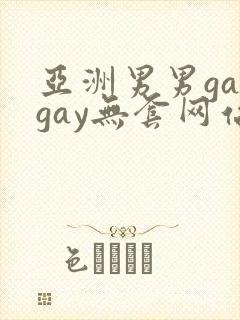 亚洲男男gaygay无套网站