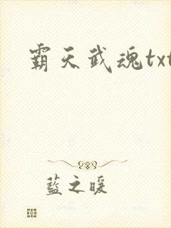 霸天武魂txt封面