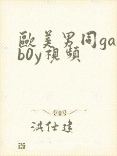 欧美男同gayb0y视频