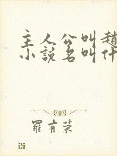 主人公叫赵旭的小说名叫什么