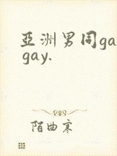 亚洲男同gay gay.封面