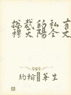 总裁的私有宝贝穆天阳全文阅读封面