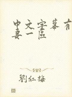 中文字幕有码人妻一区