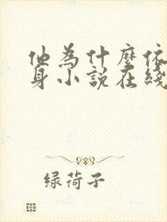 他为什么依然单身小说在线阅读