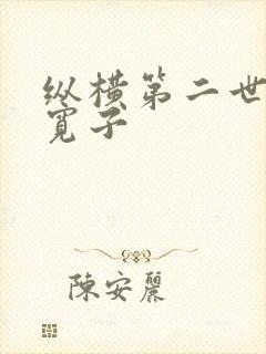 纵横第二世界 宽子封面