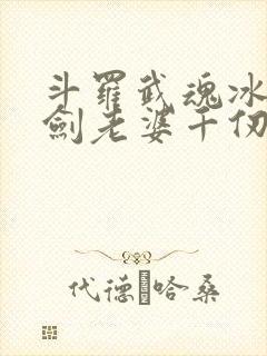 斗罗武魂冰火双剑老婆千仞雪