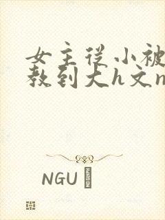 女主从小被肉调教到大h文np