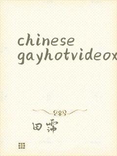 chinesegayhotvideoxxxx封面