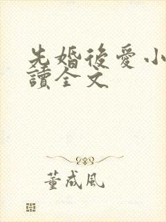 先婚后爱小说阅读全文