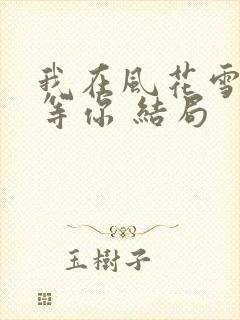 我在风花雪月里等你 结局