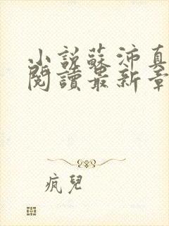 小说苏沛真全文阅读最新章节更新时间封面