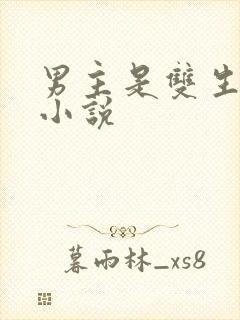 男主是双生子的小说