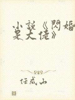 小说《闪婚老公是大佬》