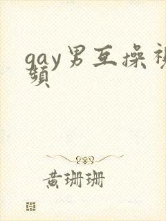 gay男互操视频