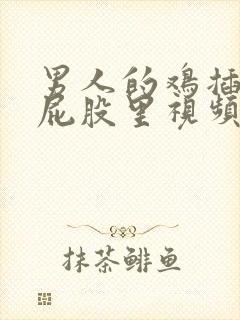 男人的鸡插女人屁股里视频