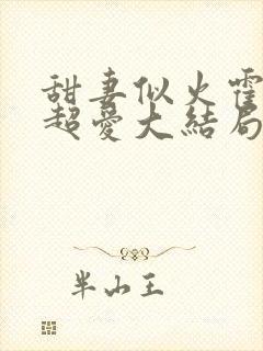 甜妻似火霍爷他超爱大结局封面