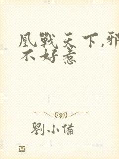 凰战天下,邪妃不好惹