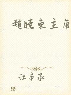 赵晓东主角小说