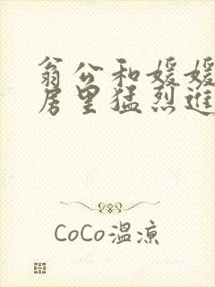 翁公和媛媛在厨房里猛烈进出